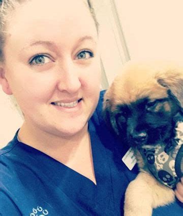 We want all of our patients to feel safe, happy and well. Veterinarians in Rocky Mount | Rocky Mount VA Veterinarians