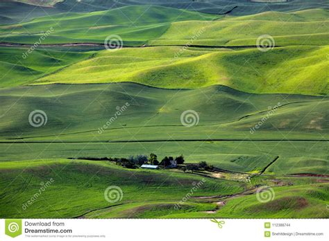 Aerial View Of Palouse Landscape From Steptoe Butte Stock Photo Image