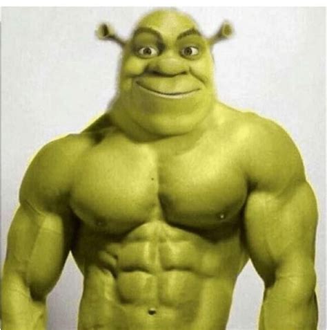 Buff Shrek Shrek Shrek Funny Funny Profile Pictures