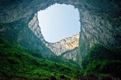 Scientists Discover Forest Inside A Giant Sinkhole In China Mobbitech