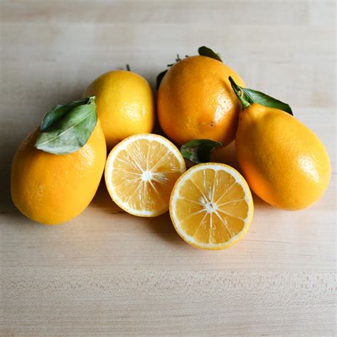 Home Grown Meyer Lemons Free Or Trade Galora