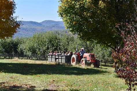 Apple Picking in North Carolina: The 15 Best NC Apple Orchards
