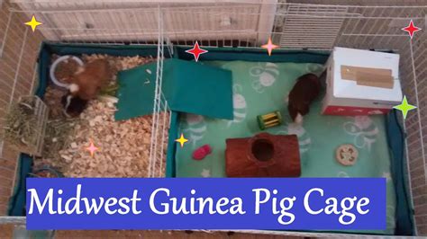 Midwest Guinea Pig Cage Unboxing And Setup Youtube