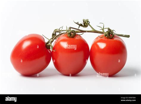 Three Tomatoes On A Vine On White Background Stock Photo Alamy