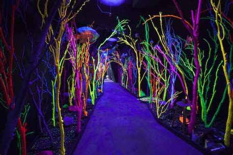 Reinventing The Art Museum Everything You Need To Know About Meow Wolf