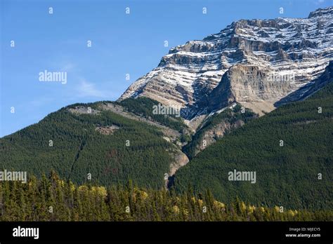 Jasper National Park Athabasca Alberta Mountain Geological Geology
