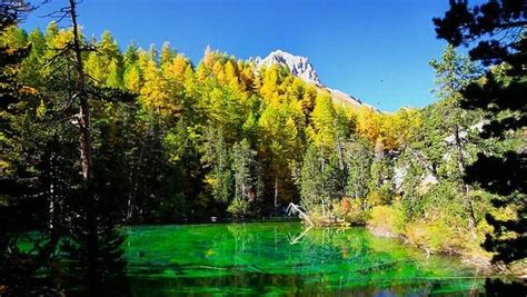 Un Luminoso Buongiorno Dal Lago Verde Di Bardonecchia Torino Lago