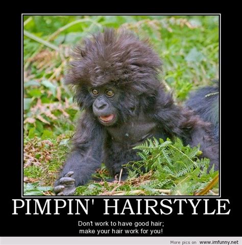 Beautiful little monkey jumping on a gray background. Cute Monkey Quotes And Sayings. QuotesGram
