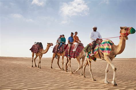 Dive Into Dubais Desert The Ultimate Safari Adventure Awaits You