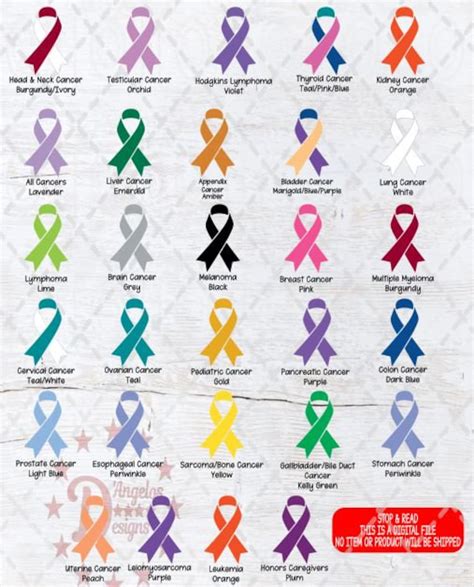Digital Download Cancer Ribbon 29 Different Cancer Ribbon Svg 29