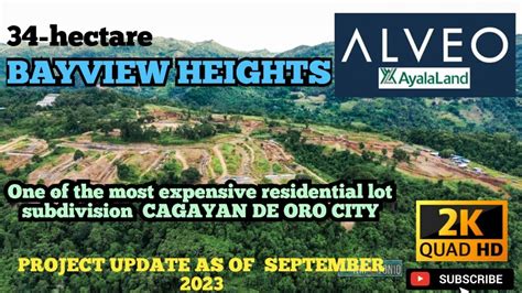 34 Hectare Ayala Alveo Bayview Heights One Of The Most Expensive