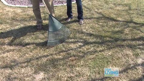 Wake Up Your Lawn A Lawn And Landscape Youtube