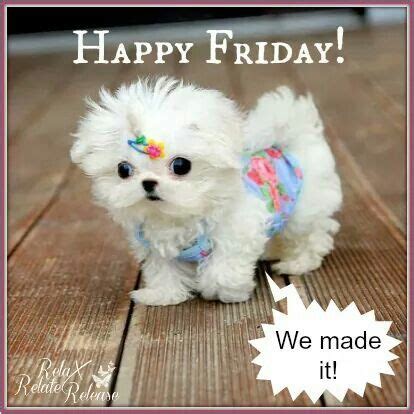 Happy Friday We Made It Pictures Photos And Images For Facebook