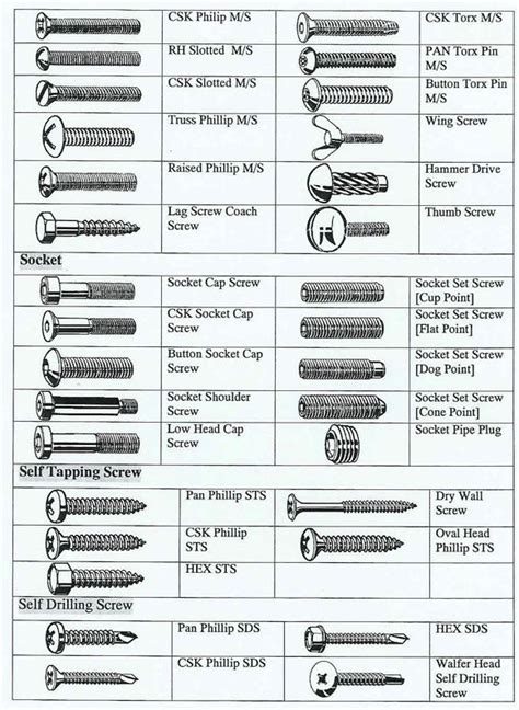 Types Of Screws And Bolts Guide Daily Infographic