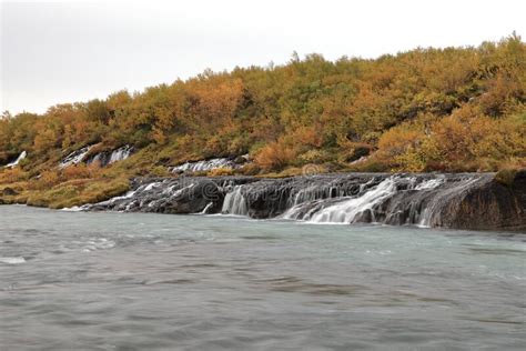 Hraunfossar A Cascade Of Small Waterfalls Flowing Into The Hvita River