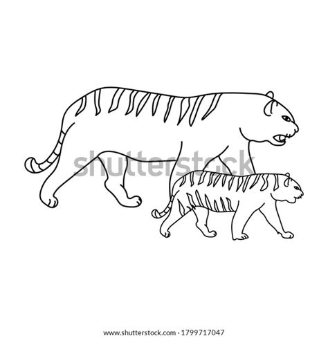 Adult Tiger Tiger Cub Mom Baby Stock Vector Royalty Free 1799717047