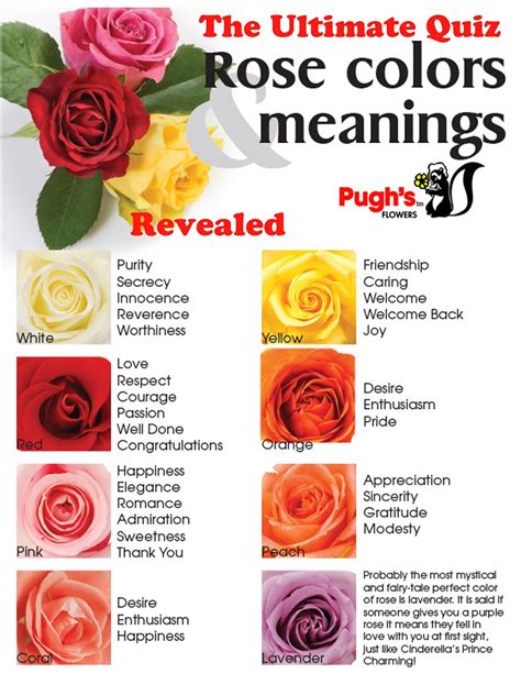 What Do Different Flowers Symbolize Meanings Of Flowers Flower