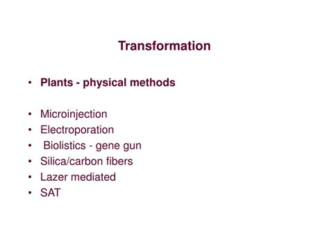 Ppt Plant Transformation Methods Powerpoint Presentation Free