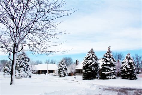 Gambar Pemandangan Outdoor Cabang Salju Musim Dingin Putih