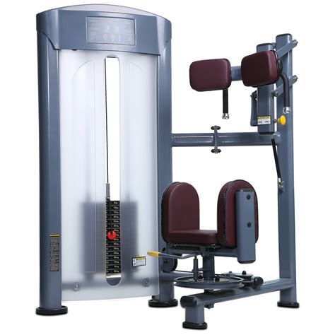 China Fitness Equipment Twisting Waist Gym Machine (ALT-6620) - China Fitness Equipment, Gym ...
