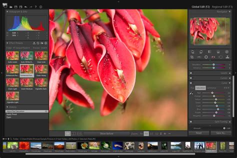 Open Source And Free Software News Giveaway Pt Photo Editor Pro 32