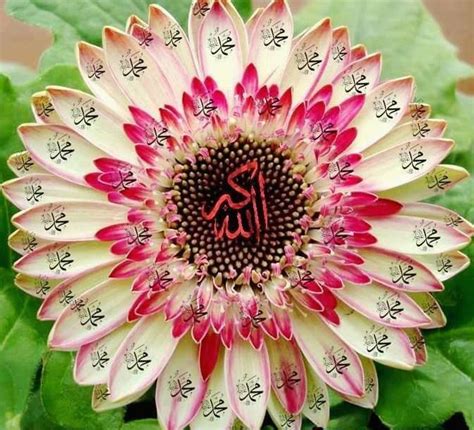 In the name of allah, the most beneficent, the most merciful. 99 NAMES OF ALLAH | Decor Ideas | Pinterest | Allah, Islam and Islamic