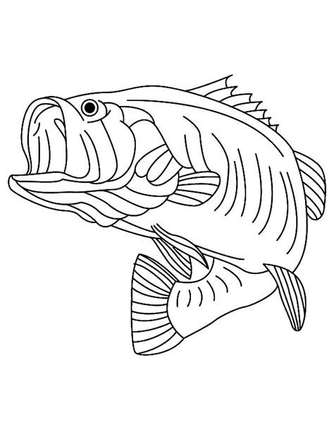 Sea Predator Striped Bass Fish Coloring Pages | Best Place to Color