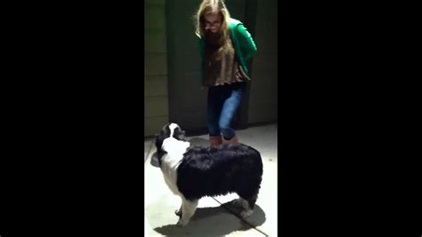Dog Humps Girl Youtube