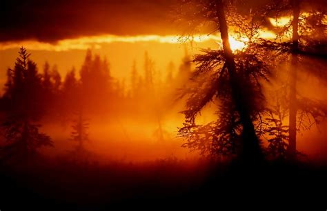 Nature Landscape Sunset Trees Mist Clouds Wallpaper Coolwallpapersme
