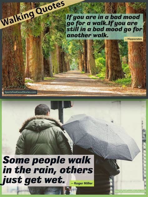 73 Beautiful Walking Quotes To Brighten Your Morning Walk Walking