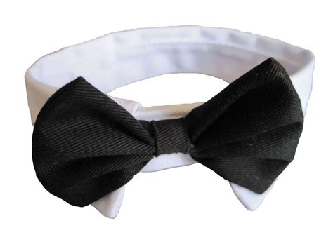 We carry breakaway kitten collars to help prevent them from getting snagged and stuck out of reach. Small Dog Cat Pet Black Bow Tie Collar | eBay