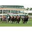 Study Temporary Rail Settings Have No Outcome On Turf Race Results 
