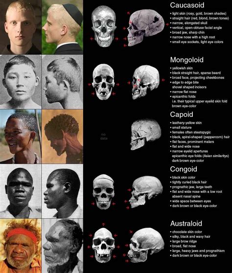 Race Science Infographics Archive Biology Genetics Anthropology Etc