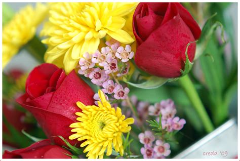 Order Flowers For Delivery Online For Delivery Online Aloha Florist