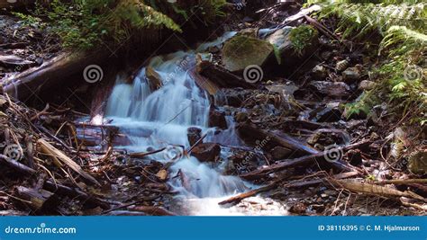 Woodland Waterfall Stock Image Image Of Landscape Idyllic 38116395