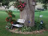 Images of Backyard Landscaping Trees
