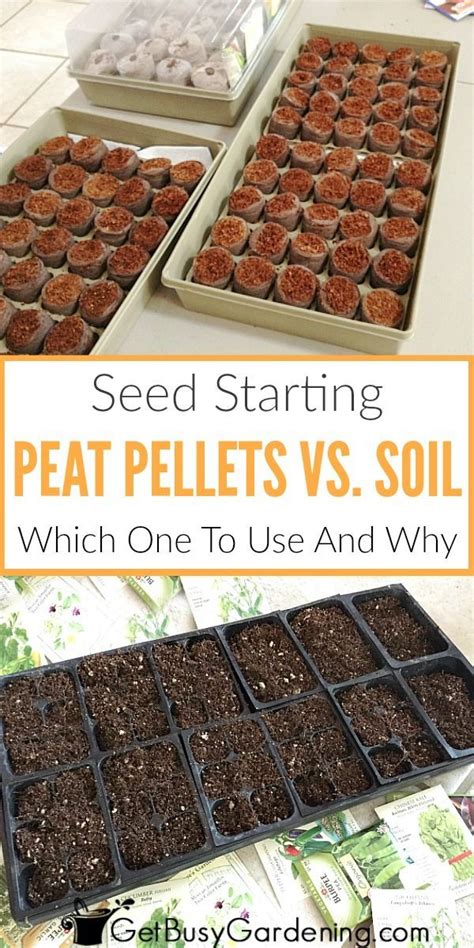 If more water is needed, add more. Seed Starting Peat Pellets Vs. Soil: Which Should You Use ...