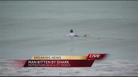 Man Recovering After Being Bitten By Shark In Fort Pierce