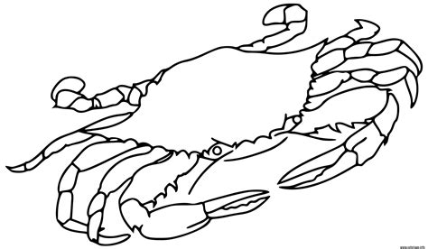 Coloriage Crabe Animal De Mer Dessin Crabe à Imprimer