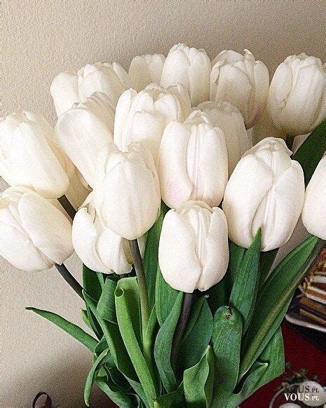 White Tulips Bunch Bukiet Białych Tulipanów Flower Aesthetic