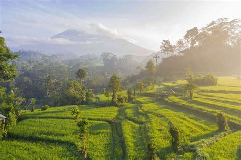 Bali For Digital Nomads An Ultimate Guide