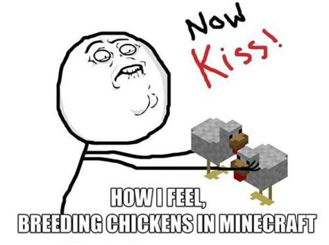 Funny Minecraft Memes 3 Minecraft Amino