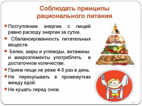 Диета яблоки и курица Принципы Правильного Питания Для Детей — Похудение Диета Правильное Питание Принципы Правильного Питания Для Детей — Похудение Диета Правильное Питание Диета яблоки и курица