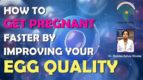How To Get Pregnant Faster By Improving Your Egg Quality Dr Richika