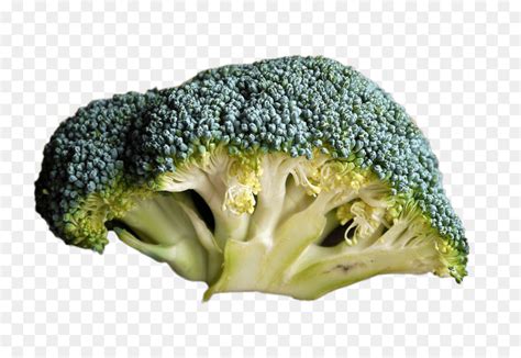 Brócoli La Comida Alimentos Orgánicos Imagen Png Imagen