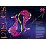Pisces Zodiac Poster Digital Art By John Hebb