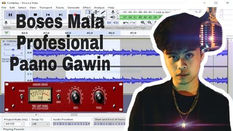 Click the skip to start button on the transport toolbar, then click the play button. AUDACITY VOCAL LIKE PROFESIONAL 10VST + - YouTube