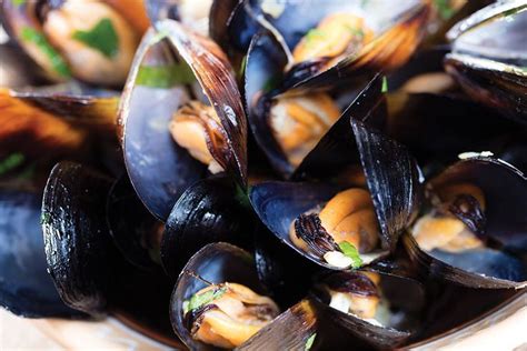 Mussels From The Quarterdeck Cape Cod Life Mussels How To Squeeze