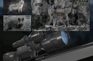 Best Night Vision Scopes For Coyote Hunting Reviewed