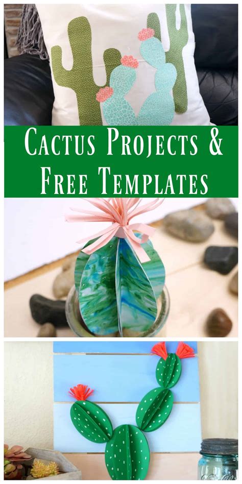 Bright cacti aloe leaves exotic cactuses plants summer desert tropical flora cartoon botanical collection. Paper Cactus Pallet Art - Creative Ramblings